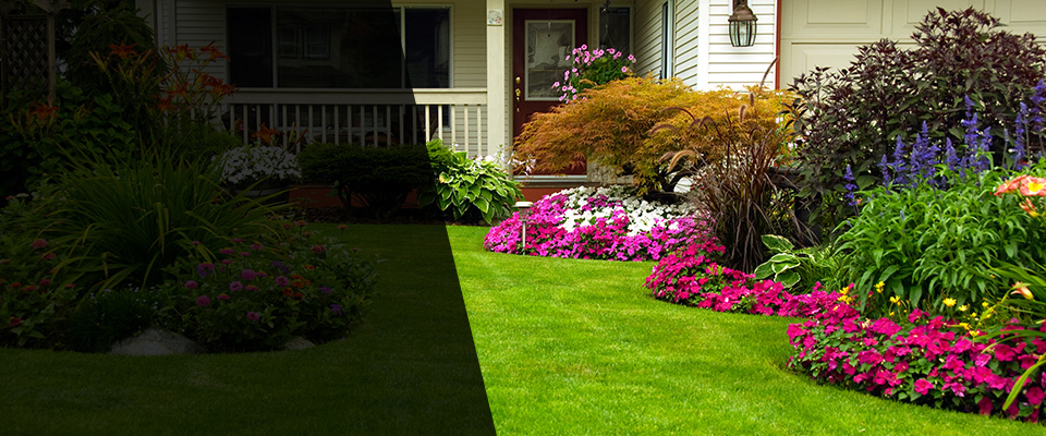 Borden Landscapers