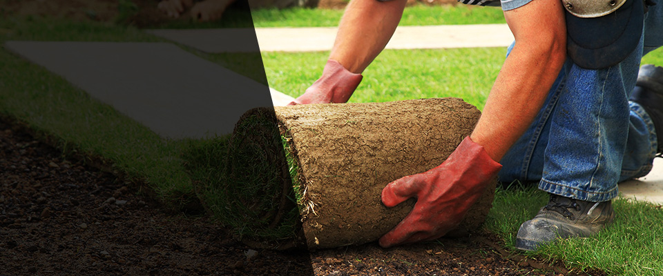 Borden Landscapers